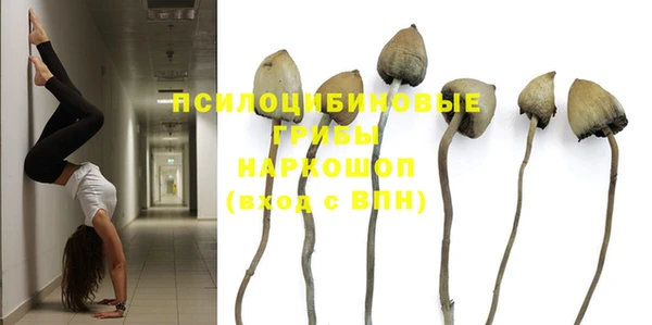 mdpv Богданович