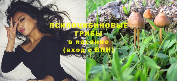 скорость Богородицк