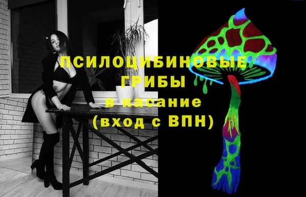 таблы Богородск